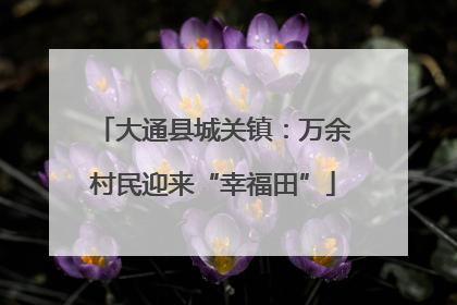 大通县城关镇：万余村民迎来“幸福田”