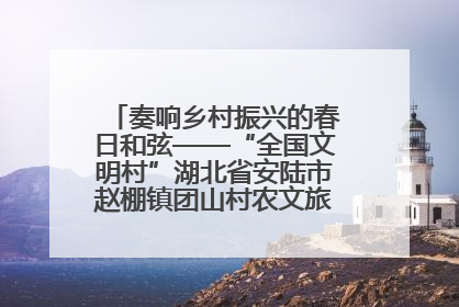 奏响乡村振兴的春日和弦——“全国文明村”湖北省安陆市赵棚镇团山村农文旅融合发展见闻