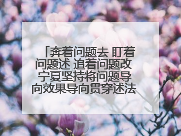 奔着问题去 盯着问题述 追着问题改 宁夏坚持将问题导向效果导向贯穿述法工作始终