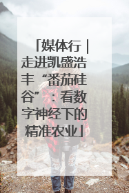 媒体行｜走进凯盛浩丰“番茄硅谷”：看数字神经下的精准农业