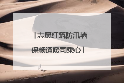 志愿红筑防汛墙 保畅通暖司乘心