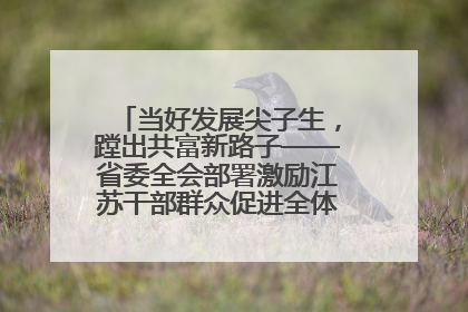 当好发展尖子生，蹚出共富新路子——省委全会部署激励江苏干部群众促进全体人民共同富裕