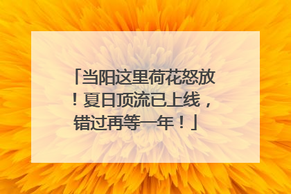当阳这里荷花怒放！夏日顶流已上线，错过再等一年！