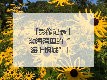 影像记录丨渤海湾里的“海上钢城”