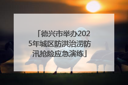 德兴市举办2025年城区防洪治涝防汛抢险应急演练
