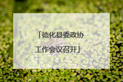 德化县委政协工作会议召开