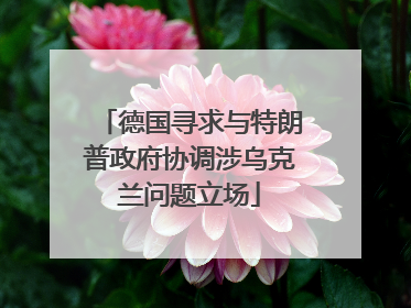 德国寻求与特朗普政府协调涉乌克兰问题立场