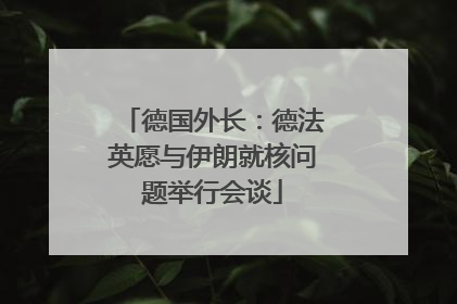德国外长：德法英愿与伊朗就核问题举行会谈
