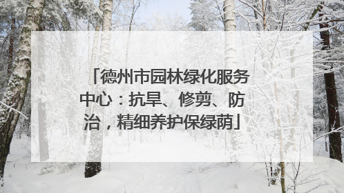 德州市园林绿化服务中心：抗旱、修剪、防治，精细养护保绿荫
