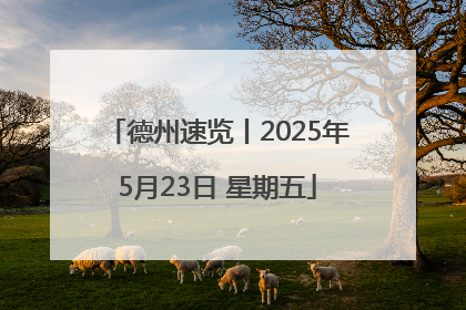 德州速览丨2025年5月23日 星期五
