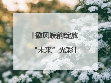 徽风皖韵绽放“未来”光彩
