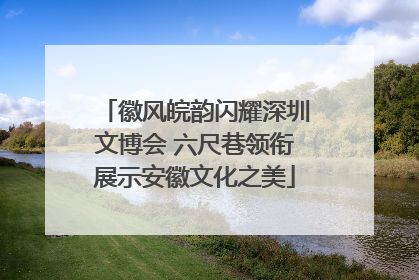 徽风皖韵闪耀深圳文博会 六尺巷领衔展示安徽文化之美