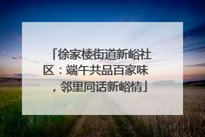 徐家楼街道新峪社区：端午共品百家味，邻里同话新峪情
