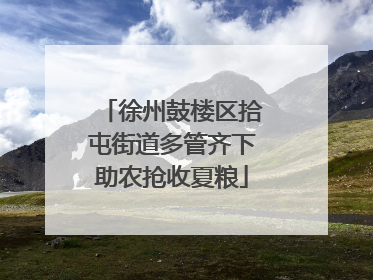 徐州鼓楼区拾屯街道多管齐下助农抢收夏粮