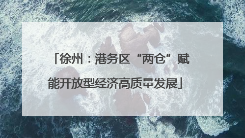 徐州：港务区“两仓”赋能开放型经济高质量发展
