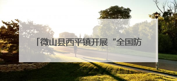 微山县西平镇开展“全国防灾减灾日”主题宣传活动