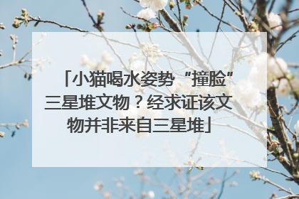 小猫喝水姿势“撞脸”三星堆文物？经求证该文物并非来自三星堆