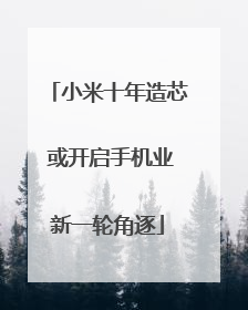 小米十年造芯 或开启手机业新一轮角逐