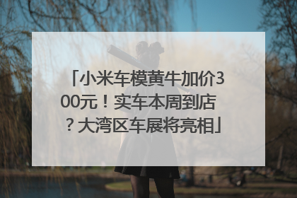 小米车模黄牛加价300元！实车本周到店？大湾区车展将亮相
