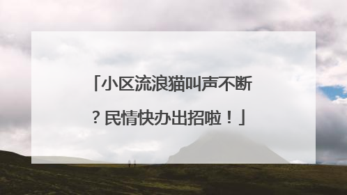 小区流浪猫叫声不断？民情快办出招啦！