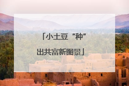 小土豆“种”出共富新图景