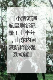 小清河通航量刷新纪录！上半年，山东内河港航释放强劲动能