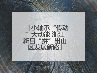 小轴承“传动”大动能 浙江新昌“拼”出山区发展新路