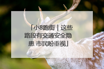 小8跑街｜这些路段有交通安全隐患 市民盼重视
