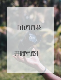 山丹丹花开拥军路