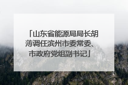 山东省能源局局长胡薄调任滨州市委常委、市政府党组副书记