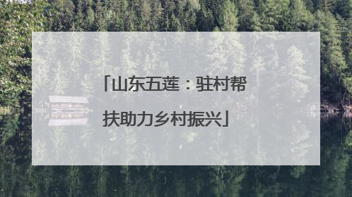 山东五莲：驻村帮扶助力乡村振兴