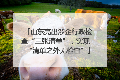 山东亮出涉企行政检查“三张清单”，实现“清单之外无检查”