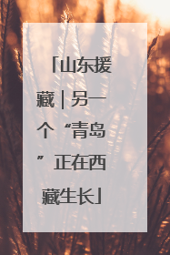 山东援藏｜另一个“青岛”正在西藏生长