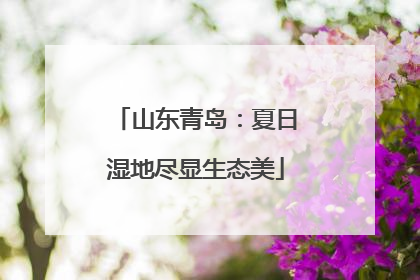 山东青岛：夏日湿地尽显生态美