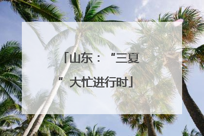 山东：“三夏”大忙进行时
