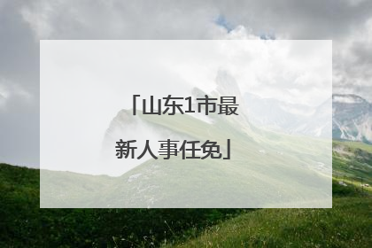 山东1市最新人事任免