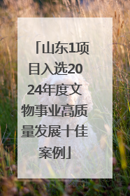 山东1项目入选2024年度文物事业高质量发展十佳案例