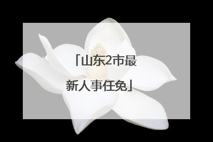 山东2市最新人事任免