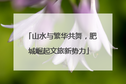 山水与繁华共舞，肥城崛起文旅新势力