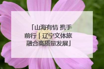 山海有情 携手前行｜辽宁文体旅融合高质量发展
