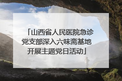 山西省人民医院急诊党支部深入六味斋基地开展主题党日活动