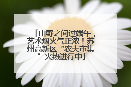 山野之间过端午，艺术烟火气正浓！苏州高新区“农夫市集”火热进行中