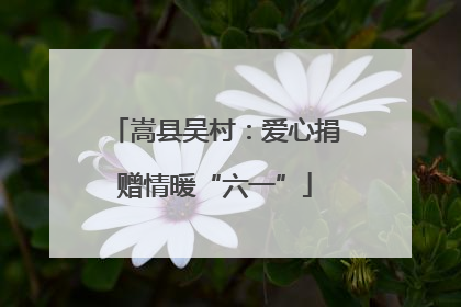 嵩县吴村：爱心捐赠情暖“六一”