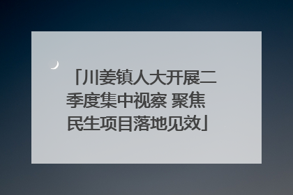 川姜镇人大开展二季度集中视察 聚焦民生项目落地见效