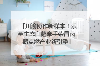 川渝协作新样本！乐至生态白鹅牵手荣昌卤鹅点燃产业新引擎