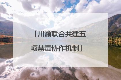 川渝联合共建五项禁毒协作机制