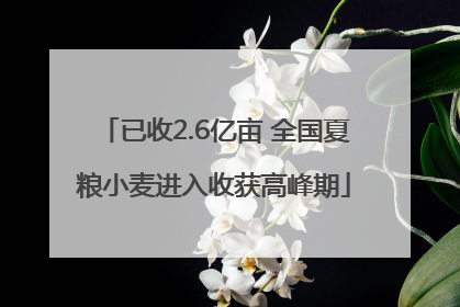 已收2.6亿亩 全国夏粮小麦进入收获高峰期