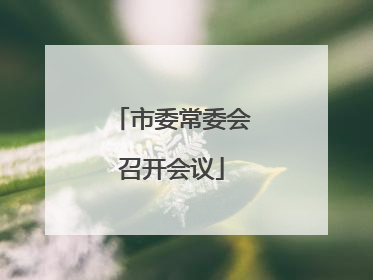 市委常委会召开会议