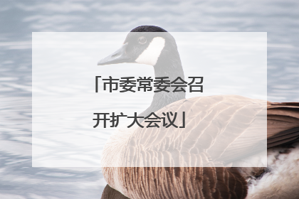 市委常委会召开扩大会议