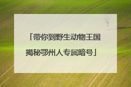 带你到野生动物王国揭秘鄂州人专属暗号